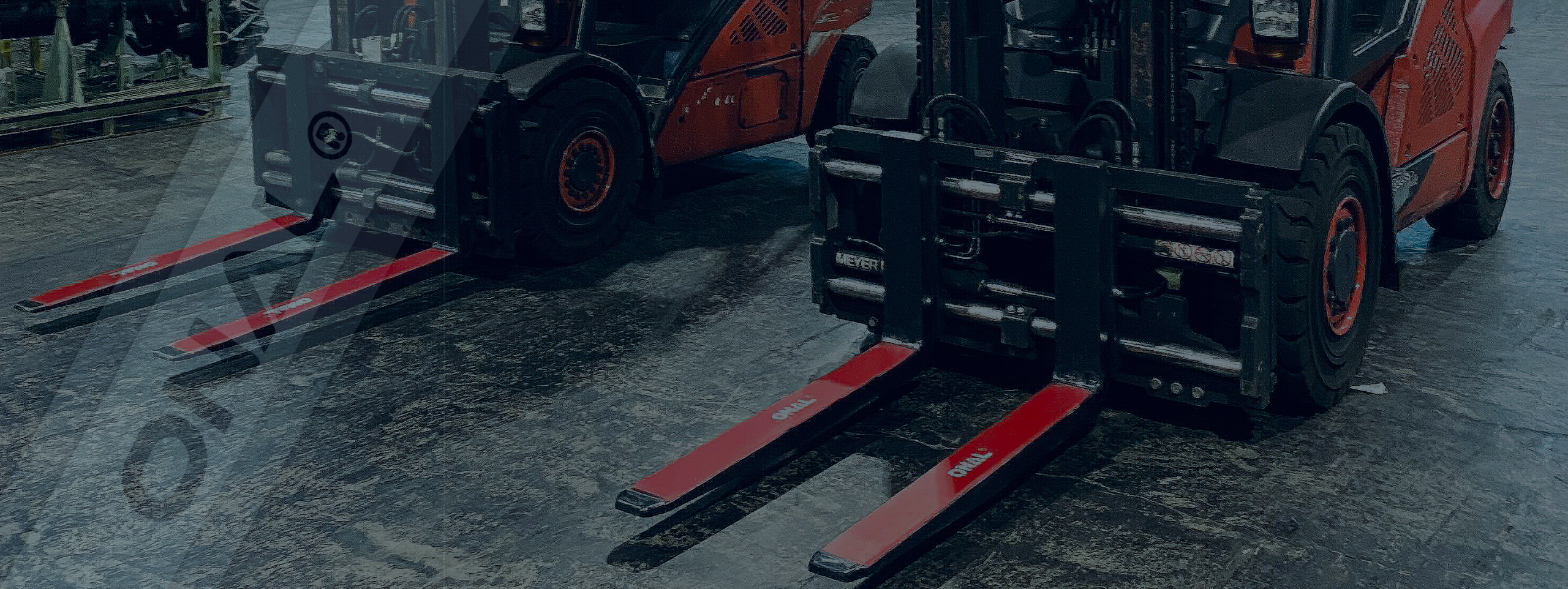 Leichtigkeit trifft Stärke